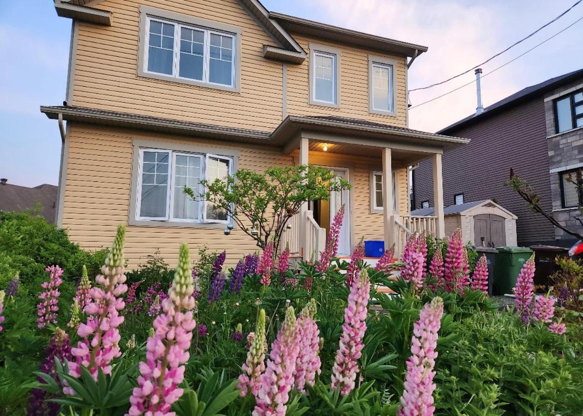 Maison Chaleureuse, Energetique Et Florale Sherbrooke Dış mekan fotoğraf