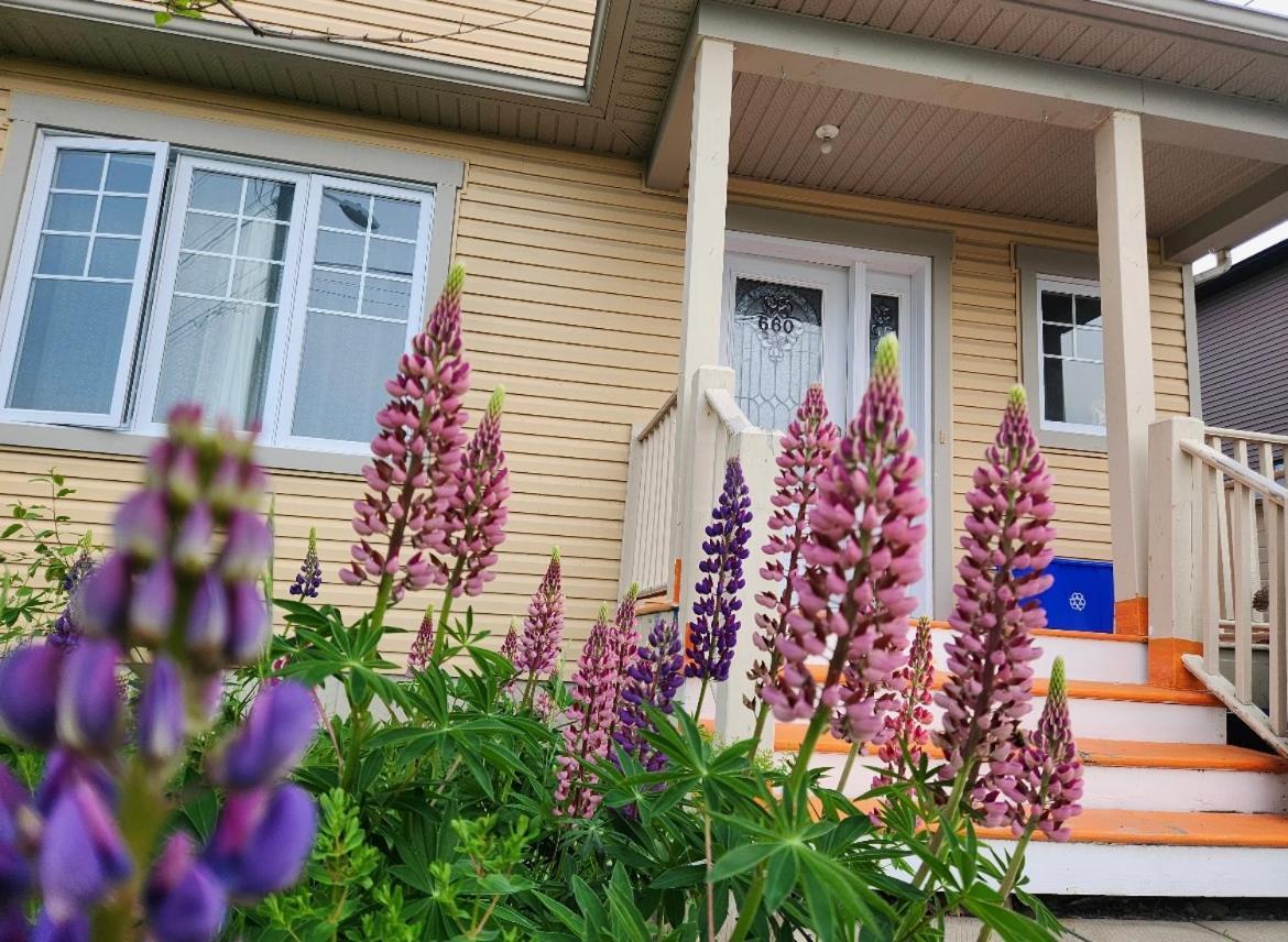 Maison Chaleureuse, Energetique Et Florale Sherbrooke Dış mekan fotoğraf